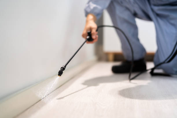 Licensed Mosquito Control service in Lavaca, AR - Nex Pest Control