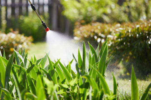 24/7 Emergency Mosquito Control experts in Lavaca, AR
